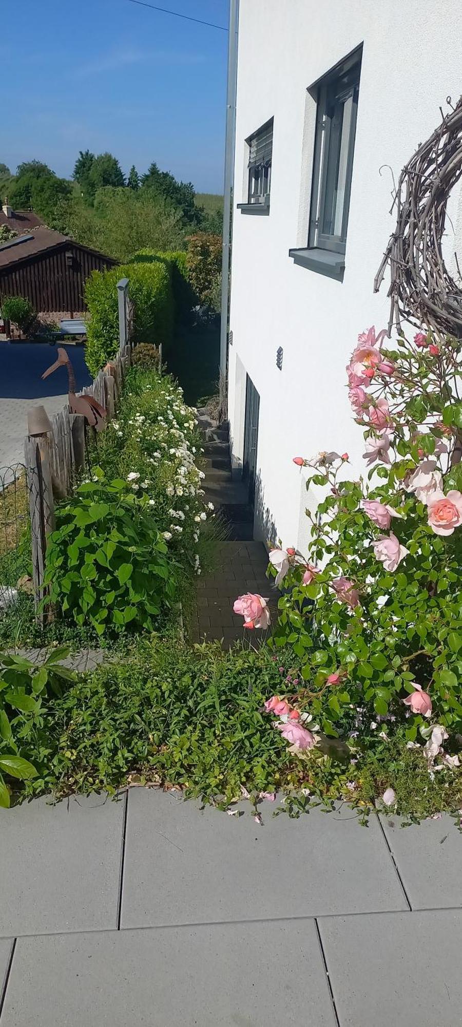 Ferienwohnung Rebgaertle Britzingen Екстер'єр фото