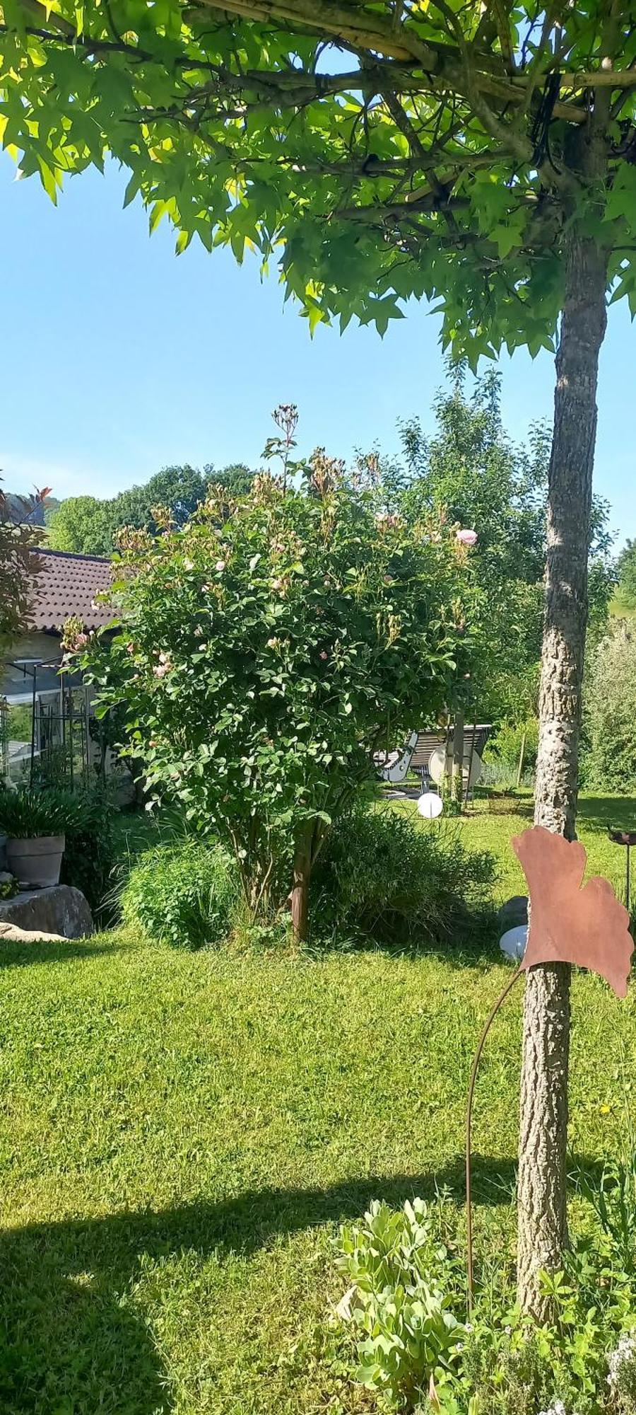 Ferienwohnung Rebgaertle Britzingen Екстер'єр фото