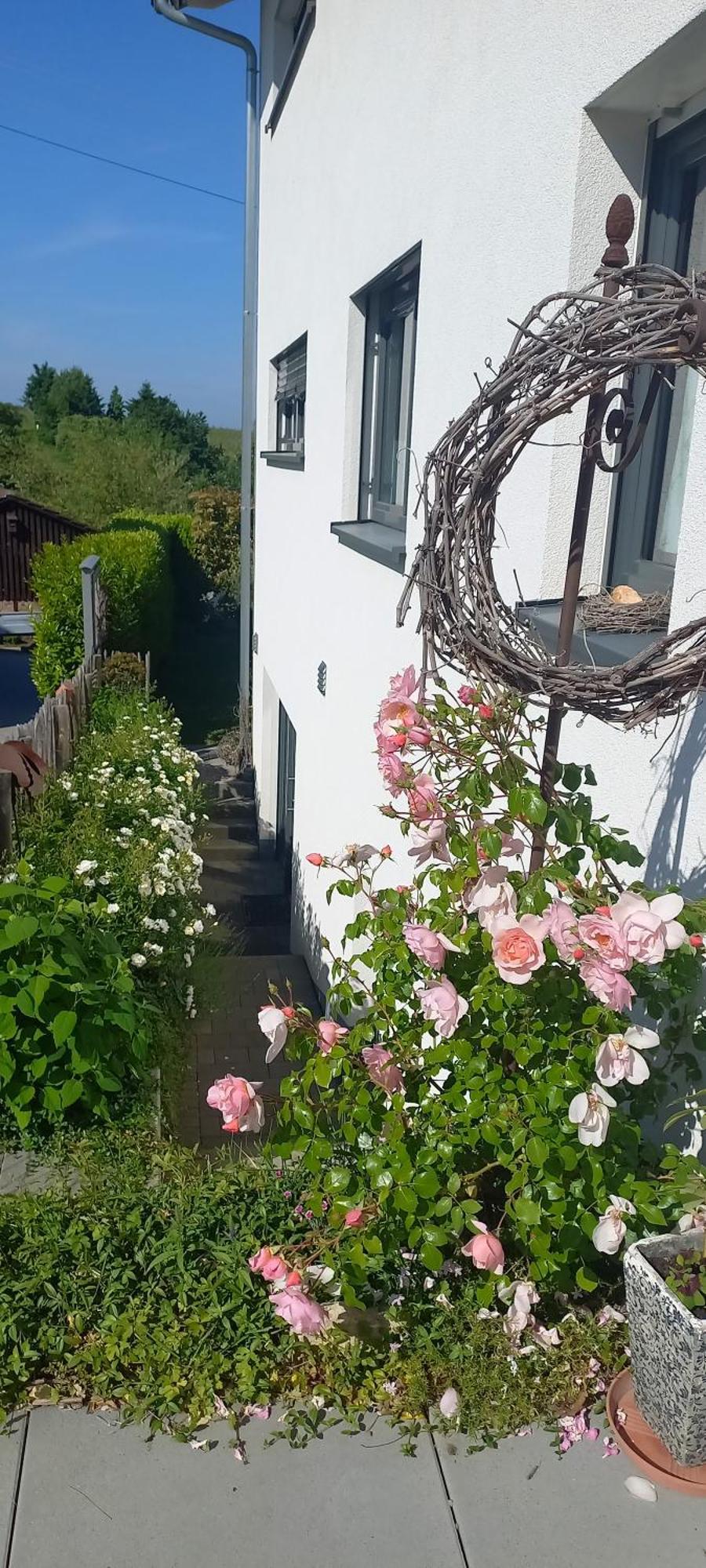 Ferienwohnung Rebgaertle Britzingen Екстер'єр фото